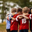 The Wild Robot 이미지