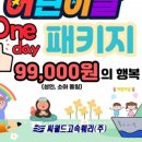 제주코기네 이미지