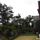 표선리-2 이미지