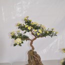 음성읍 주민자치센터 이미지