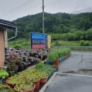 수도산식당 이미지