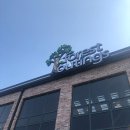 포레스트디저트