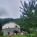곰배령팜스테이 이미지