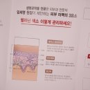 림스케미칼 이미지