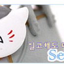 에이스팬시 이미지