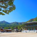 산청 동의보감촌 이미지