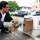 부엉이집 이미지