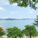 수국칼국수 이미지