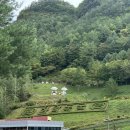 정선공영버스터미널 내 | 2025/10/08 강원도 정선군 (2,完) (민둥산역 택시, 화암동굴, 화암정류장에서 고한사북터미널)