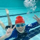 키즈웨일즈 이미지