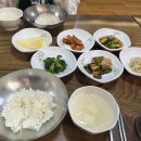 아미낙지 이미지