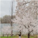 송촌생활체육공원 테니스장