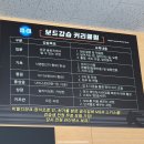 엠엔엠 렌탈샵,스키강습 / 소노벨 B동 / 홍천 닭갈비 맛집 ‘느티나무’/ 강원도 홍천 카페 ‘분덕스’)
