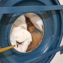 꿈꾸는세탁소 네이버블로그