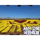 서산 고북국화축제 🌻 이미지