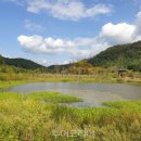 창녕 우포늪 이미지