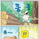 선녀와 나뭇꾼 이미지