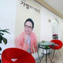 가모미모