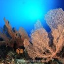 모텔몰디브 이미지