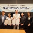 브라운스톤 이미지