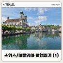 디지털사자 | 스위스 이탈리아 피렌체 여행 1-2일차 호텔 드 라페 빈사의 사자상 루체른 유람선