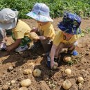 해맑은2농장 이미지