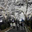 동림모텔 이미지