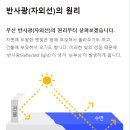 현대안경원 이미지