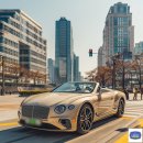 동해카써비스 이미지