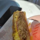 공감의뜰 이미지