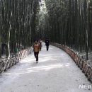 울산녹색환경지원센터