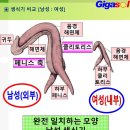 남자와 여자의 체온(02) 이미지