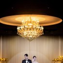 더메종277 | 가성비 본식스냅 DVD 메종드화이트 계약 후기, 내돈내산