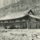 초록신사