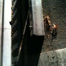 노원구청 이미지