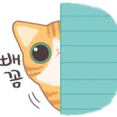 익스트림에스홍대 이미지