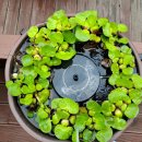 오대산 힐링타운 달빛동 이미지