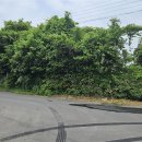 해성부동산공인중개사사무소 이미지