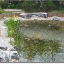 생태연못 이미지