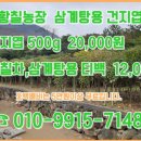 엽농장 네이버블로그