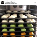 무거카라반 | 제주 무거버거 재방문 후기 함덕해수욕장 근처 수제버거 맛집 MGBG 당근 마늘 시금치 다 뿌심