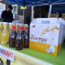 산수유 | [이천 산수유 축제] 후기 이천 산수유마을 산수유 막걸리 산수유 동동주