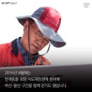 도그뉴스 이미지