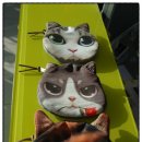 신천동물병원 이미지
