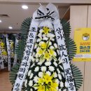 조치과의원 이미지