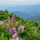 이포중학교 이미지