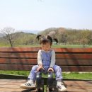 인구목장 이미지