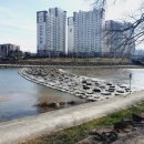 광양읍 소방서 옆 이미지