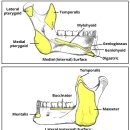 서울대학교 치의학대학원 이미지