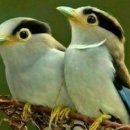 마음이머무는곳 이미지